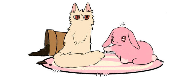 ⓘ Ask to me? Click here